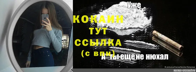 Cocaine Эквадор  мега онион  Лысково 